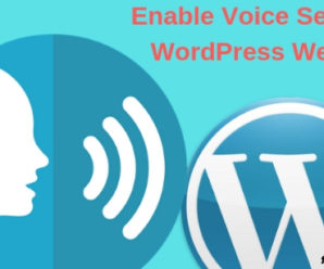 Enable Voice Search On WordPress Websites