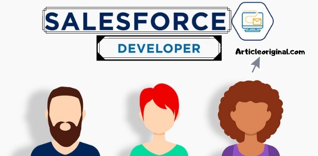 Salesforce Developer