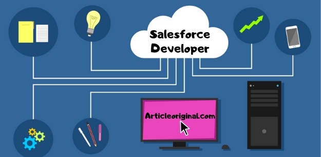 Salesforce Developer