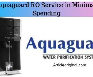 Aquaguard RO Service in Minimal Spending