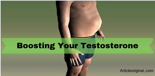 Boosting Your Testosterone