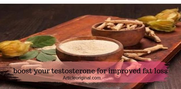 Boosting Your Testosterone