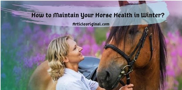 How to Maintain Your Horse Health in Winter