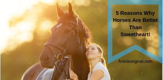 5 Reasons Why Horses Are Better Than Sweetheart!