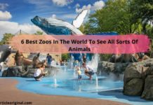 6 Best Zoos In The World To See All Sorts Of Animals