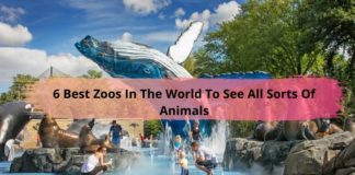 6 Best Zoos In The World To See All Sorts Of Animals