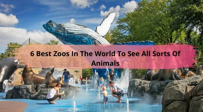 6 Best Zoos In The World To See All Sorts Of Animals