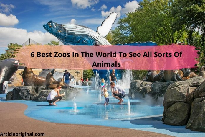 6 Best Zoos In The World To See All Sorts Of Animals