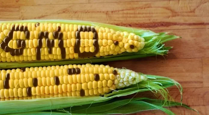 non-GMO-Food