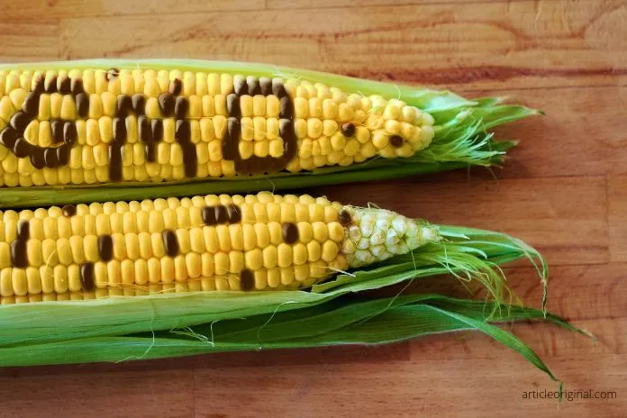 non-GMO-Food